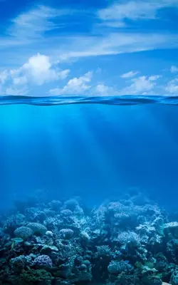 Ocean Live Wallpaper android App screenshot 2